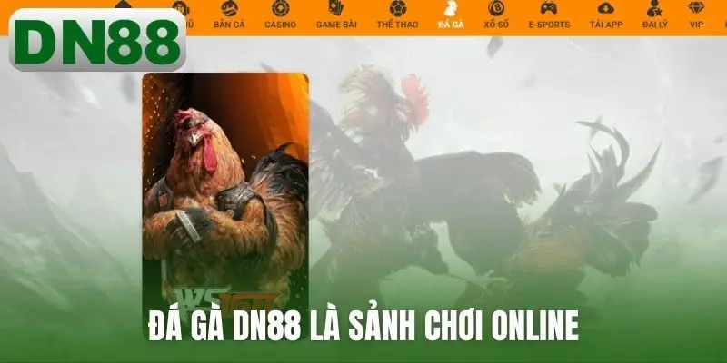 Đá gà DN88 là sảnh chơi online