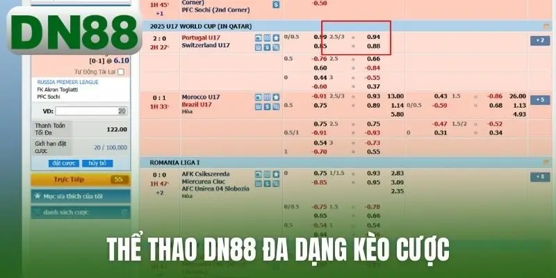 Thể thao DN88 đa dạng kèo cược